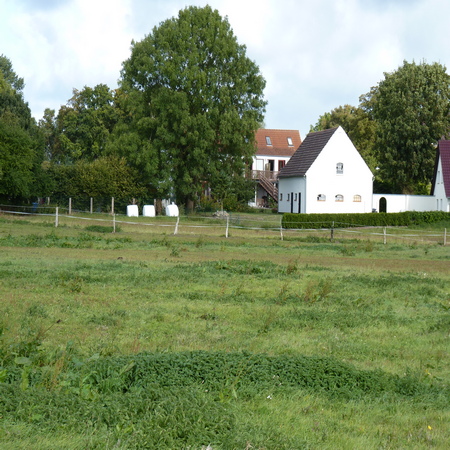Rügen Nähe Schaprode, Wiesengrundstück angrenzend an bebauter Ortsrandlage