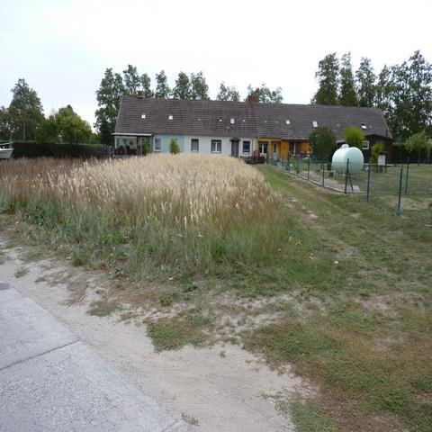 Gegenüber Usedom, Unbebautes Grundstück im Innenbereich in der Nähe des Peenestroms
