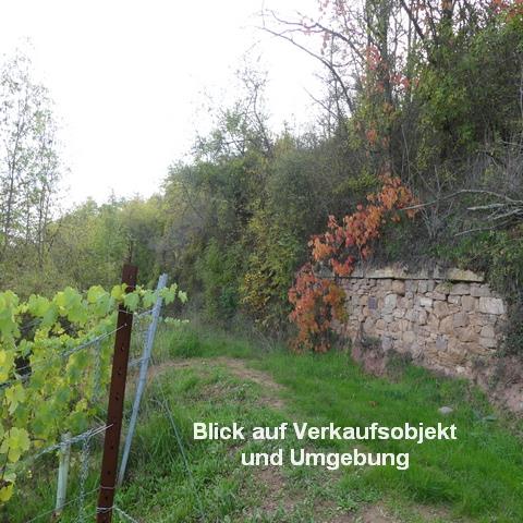 Münster-Sarmsheim, zwei veruschte Grundstücke in schöner Umgebung von Weinbergen