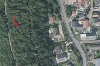 KEINE COURTAGE Bad Kreuznach - Monzingen: Wald in ortsnaher Lage