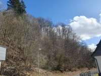 Bad Laasphe: Vertragsfreies, mit B&auml;umen bewachsenes Hanggrundst&uuml;ck im Stadtgebiet