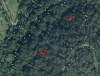 Waldgrundst&uuml;ck im Dreieck Rheindiebach - Niederheimbach - Oberdiebach