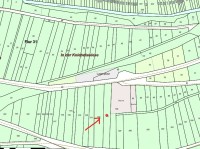 Wald in der N&auml;he von Oberdiebach