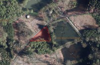 Ruppichteroth Schmitzh&ouml;fgen: Interessante Waldfl&auml;che an einer  Teichanlage