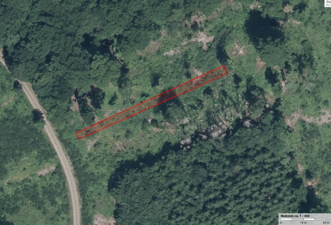 Siegen Freudenberg Niederndorf - Wald