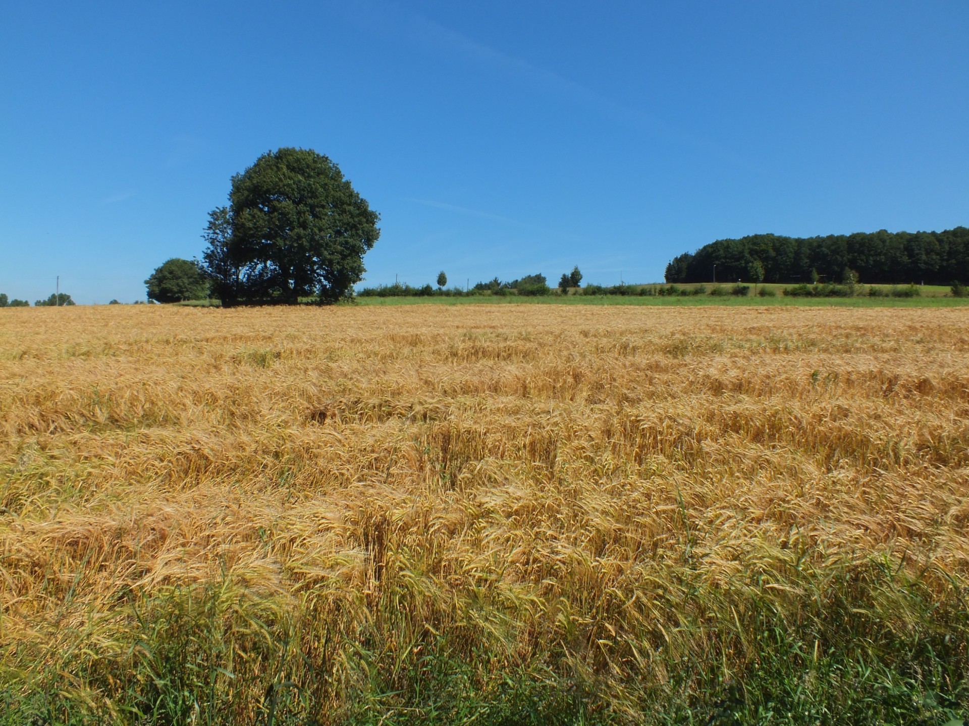 Landwirtschaftliche Kleinstfläche Kreis Unna