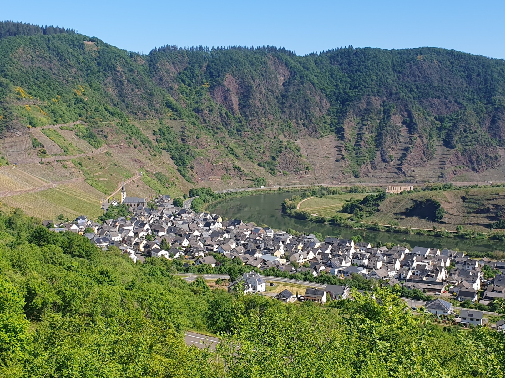 Bremm Weinberg