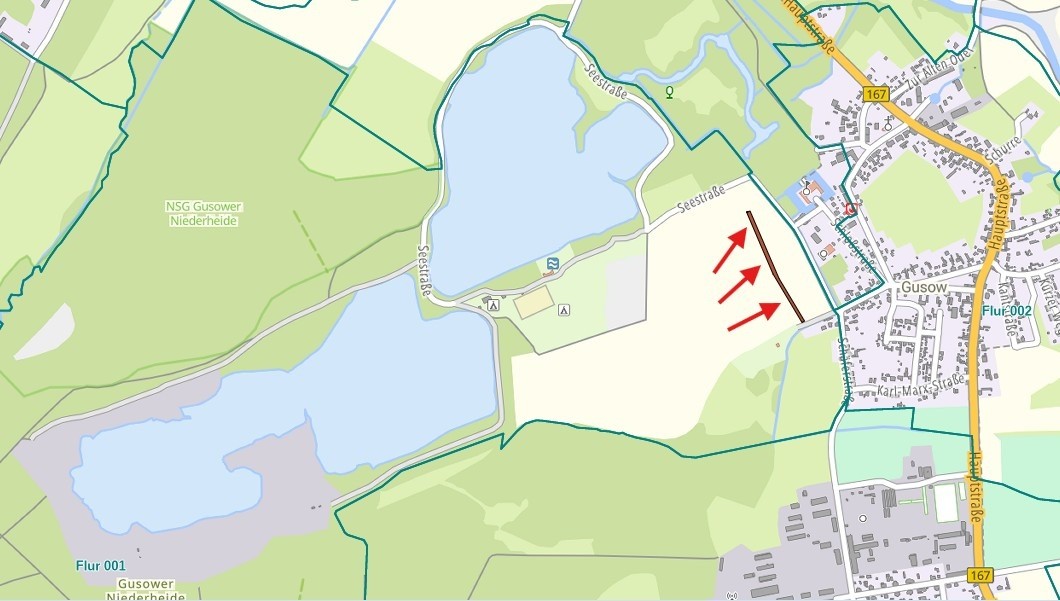 Gusow-Platkow: Gehölzstreifen in Nachbarschaft zu Baggersee und Schloss