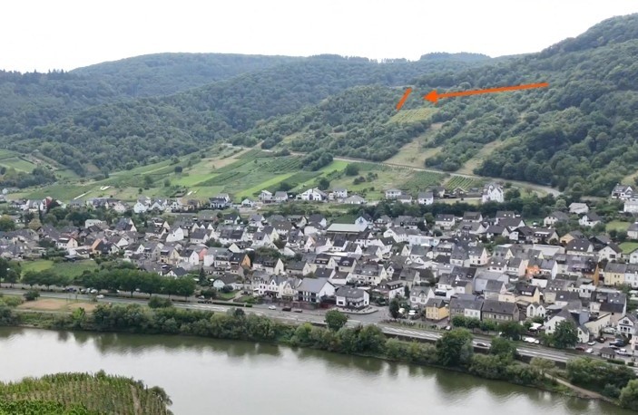 Mosel - Bremm: Grundstück direkt an der L106
