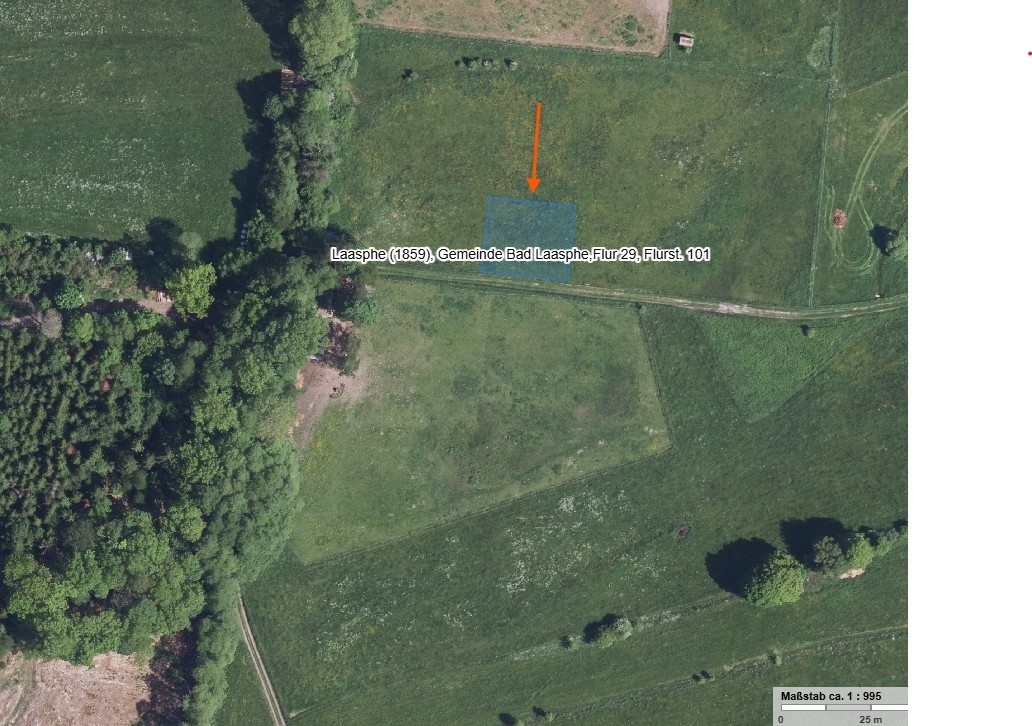 Grünland Bad Laasphe