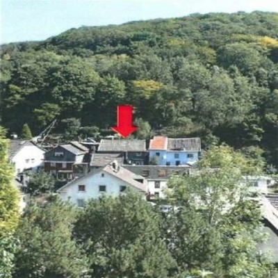Blick auf das Abbruchhaus und dahinterliegende Waldfläche