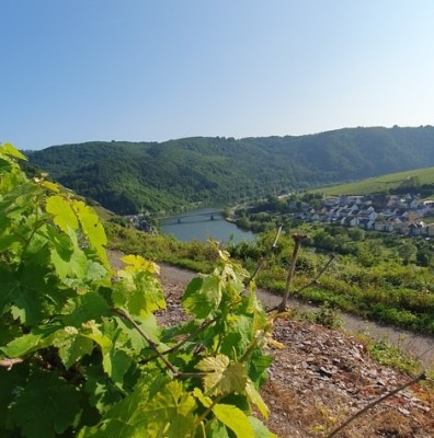 Blick von der Verkaufsfläche auf Zell