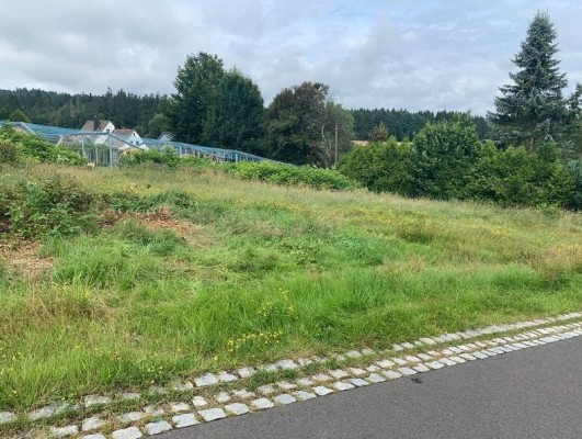 Blick auf das Verkaufsobjekt