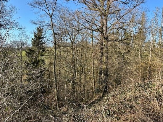 Blick in die Verkaufsfläche