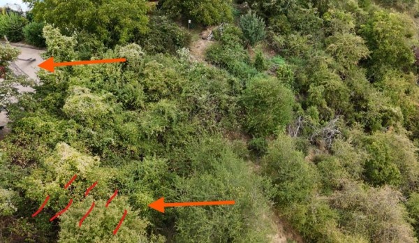 Luftbild mit Nähe zum Spielplatz - Grenzen nicht erkennbar